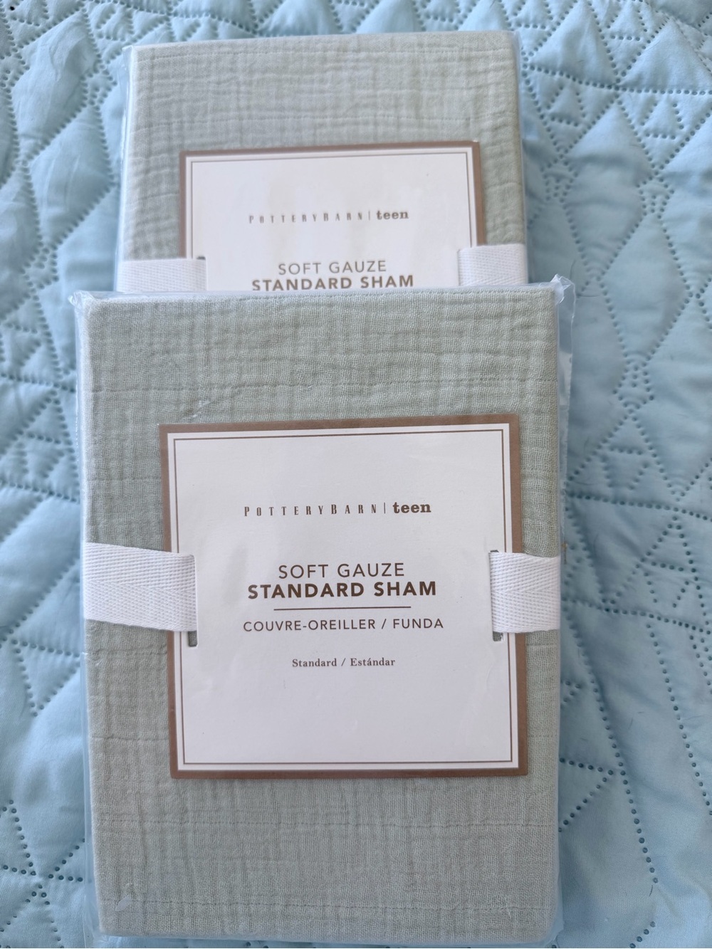 Pottery Barn Teen Soft Gauze standard sham “Sage”
